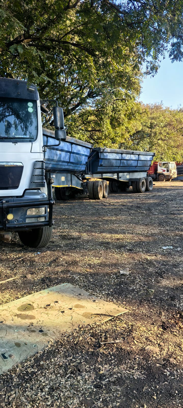 Our delivery fleet in action — photo 6 of 8